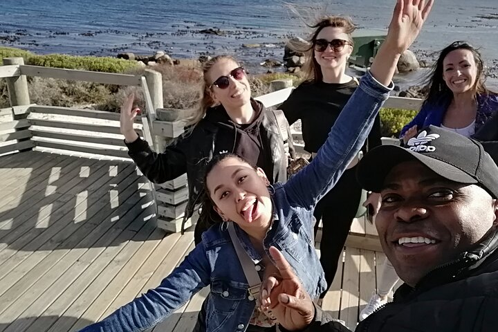 Private lovely journey to Penguins-Cape point-Cape of good hope  - Photo 1 of 10